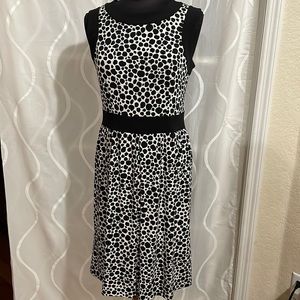 Talbots Dress, Size 6